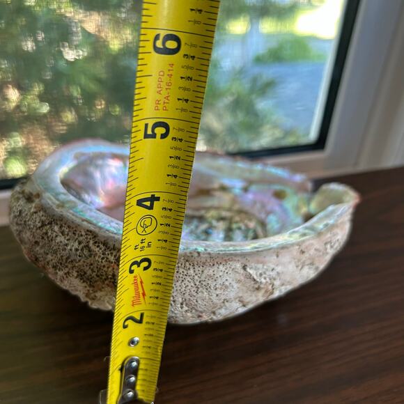 Vintage Abalone Shell – 7” Iridescent Mother of Pearl Display or Smudge Bowl - Picture 5 of 7